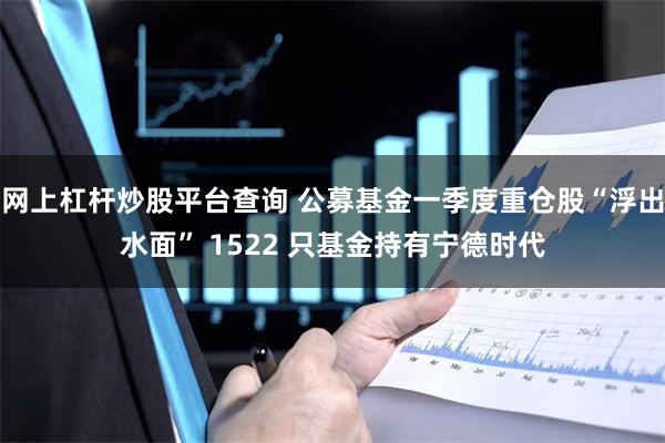 网上杠杆炒股平台查询 公募基金一季度重仓股“浮出水面” 1522 只基金持有宁德时代