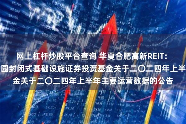 网上杠杆炒股平台查询 华夏合肥高新REIT: 华夏合肥高新创新产业园封闭式基础设施证券投资基金关于二〇二四年上半年主要运营数据的公告