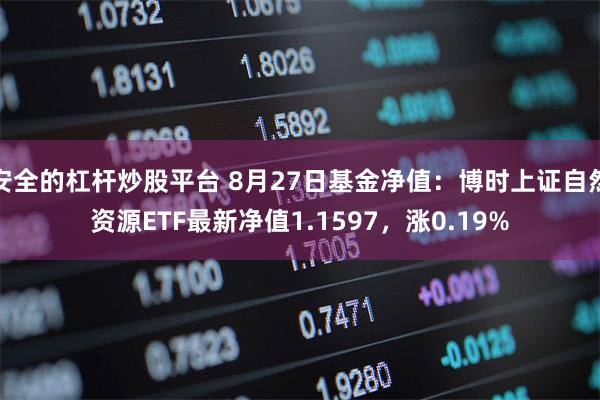 安全的杠杆炒股平台 8月27日基金净值：博时上证自然资源ETF最新净值1.1597，涨0.19%